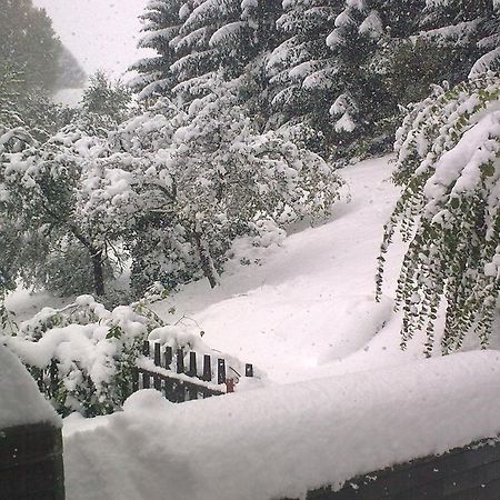 Svoboda nad Úpou Edy Dum 빌라 외부 사진